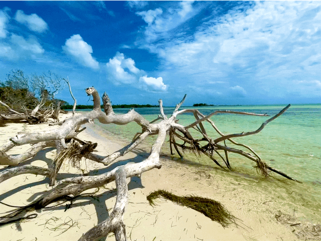 3a-florida-keys-9429