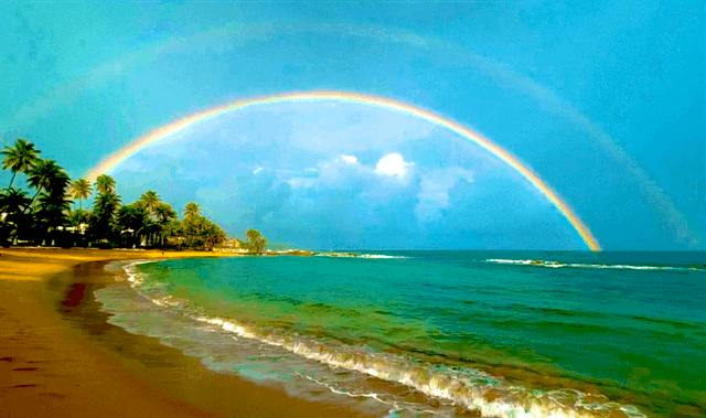 9a-Tropical-paradise-1630